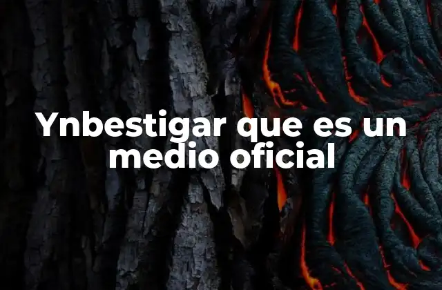 Ynbestigar que es un Medio Oficial