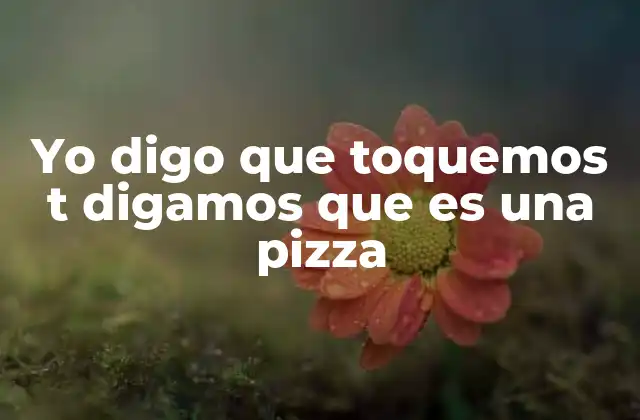Yo Digo que Toquemos T Digamos que es una Pizza