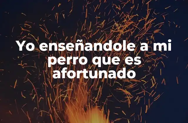 Yo Enseñandole a Mi Perro que es Afortunado