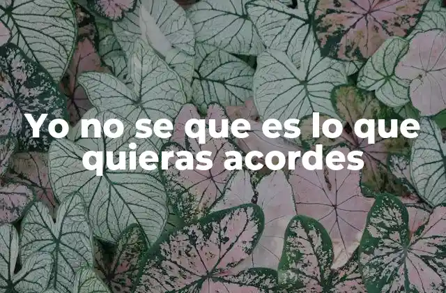 Yo No Se que es Lo que Quieras Acordes