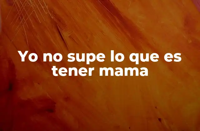 Yo No Supe Lo que es Tener Mama