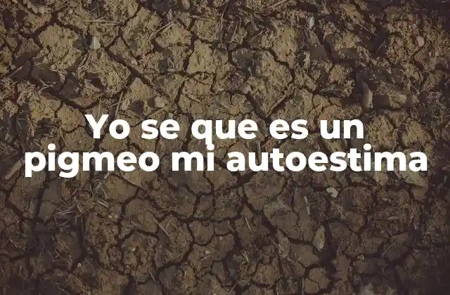 La relación entre autoestima y percepción personal