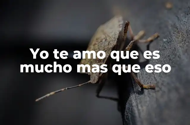 Yo Te Amo que es Mucho mas que Eso