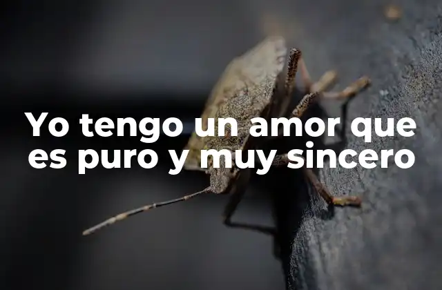 Yo Tengo un Amor que es Puro y Muy Sincero