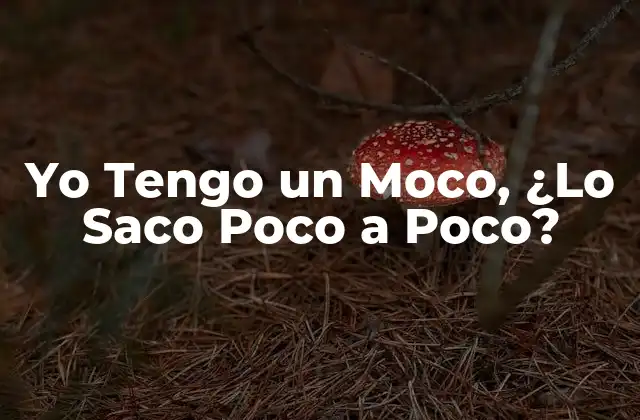 Yo Tengo un Moco, ¿lo Saco Poco a Poco?
