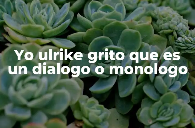 Yo Ulrike Grito que es un Dialogo o Monologo
