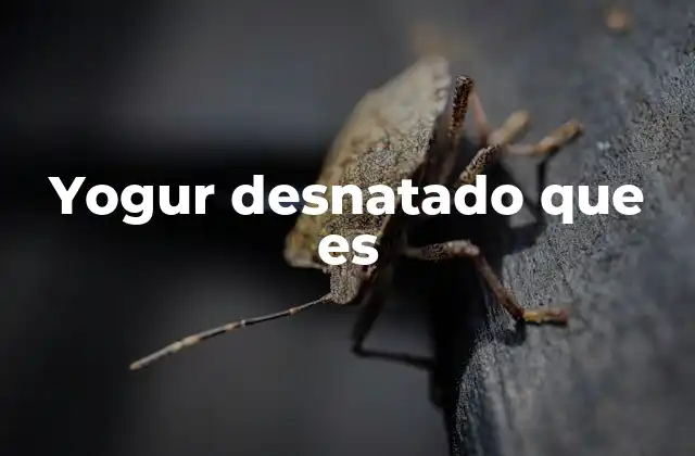 Yogur Desnatado que es