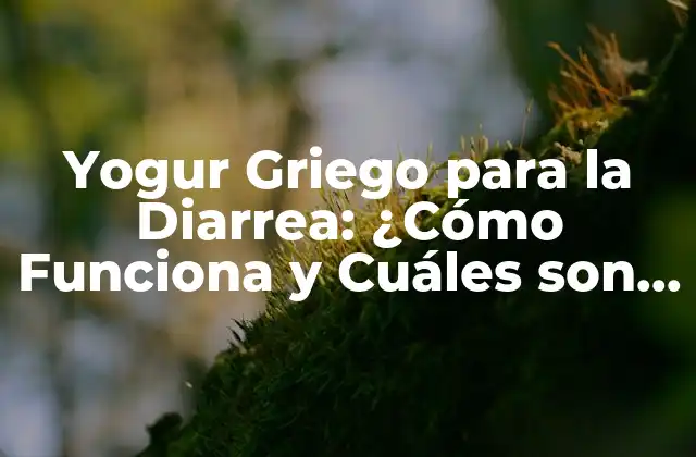 Yogur Griego para la Diarrea: ¿cómo Funciona y Cuáles Son Sus Beneficios?