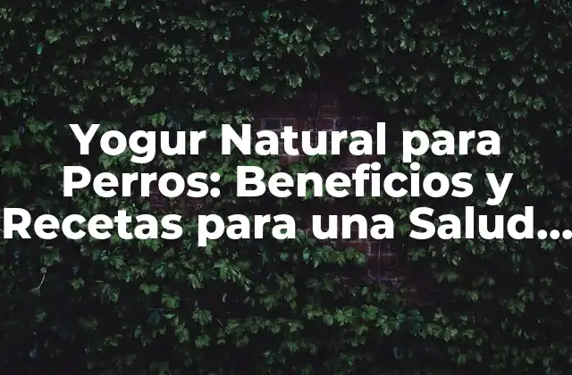 Yogur Natural para Perros: Beneficios y Recetas para una Salud Canina Óptima