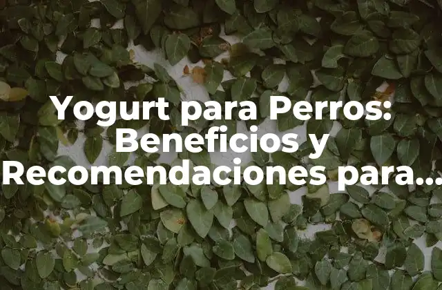 Yogurt para Perros: Beneficios y Recomendaciones para la Salud Canina