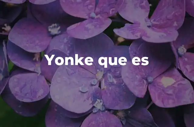 La presencia de los yonkes en la sociedad