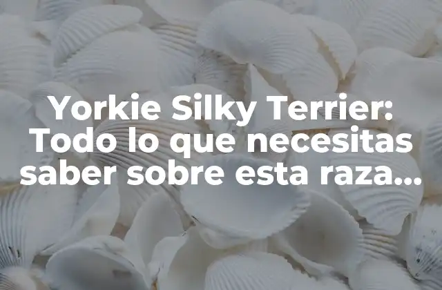 Orígenes y Historia del Yorkie Silky Terrier