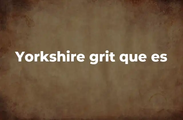 La formación y distribución del Yorkshire Grit