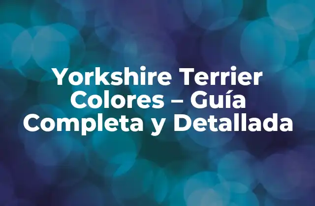 Yorkshire Terrier Colores – Guía Completa y Detallada
