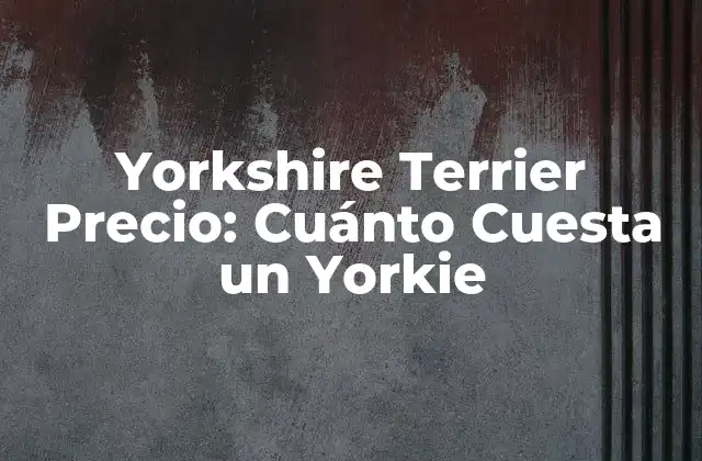 Yorkshire Terrier Precio: Cuánto Cuesta un Yorkie