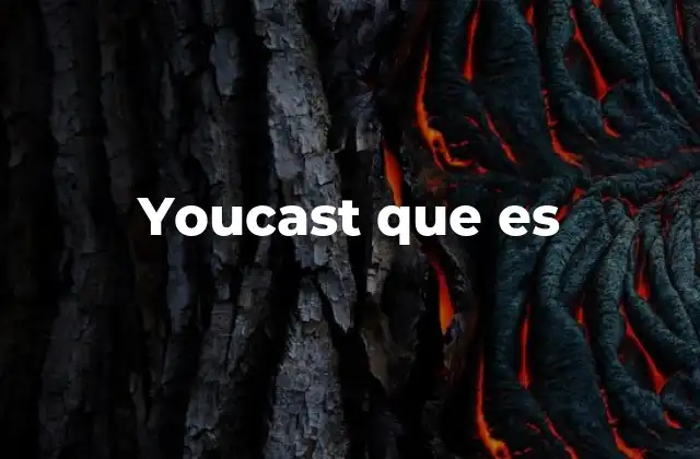 Youcast que es
