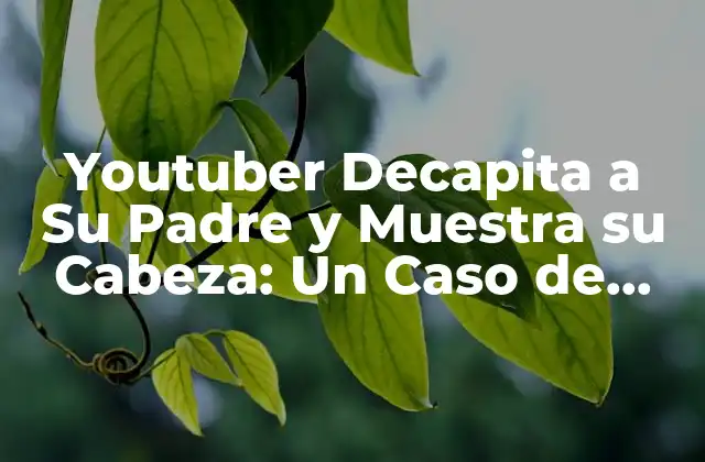 Youtuber Decapita a Su Padre y Muestra Su Cabeza: un Caso de Psicopatía y Manipulación