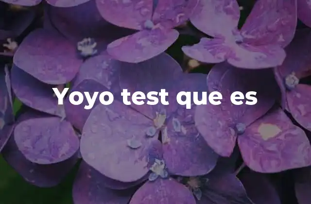 Yoyo Test que es