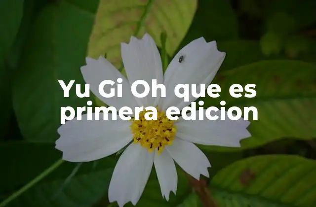 Yu Gi Oh que es Primera Edicion