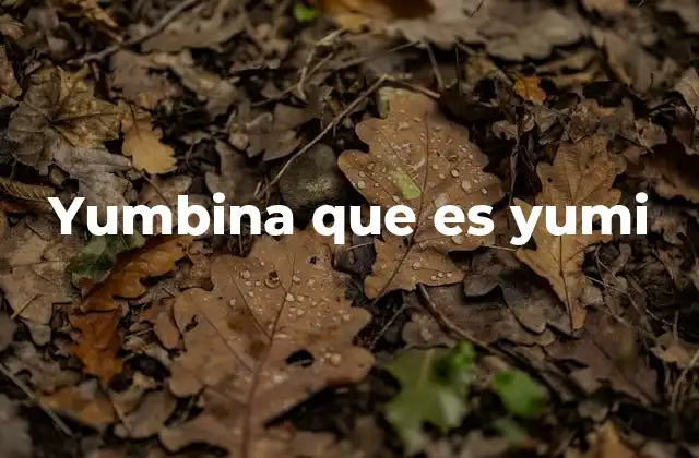 Yumbina que es Yumi