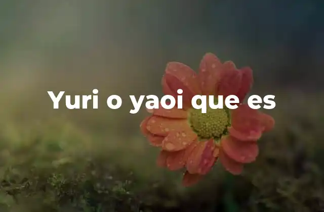 Yuri o Yaoi que es
