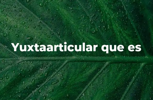 Yuxtaarticular que es