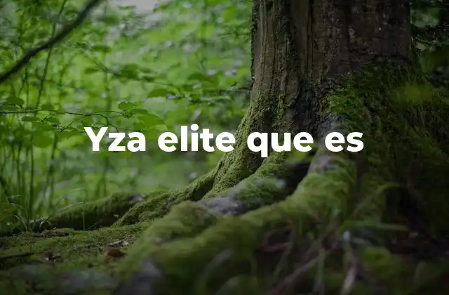 Yza Elite que es