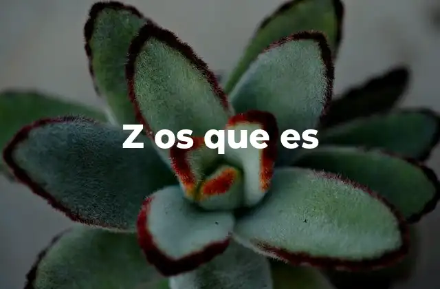 Z Os que es