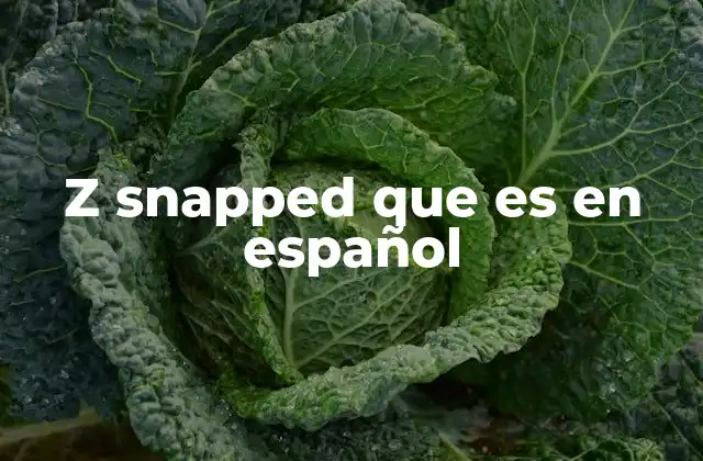 Z Snapped que es en Español 2 El contexto de uso de frases como z snapped