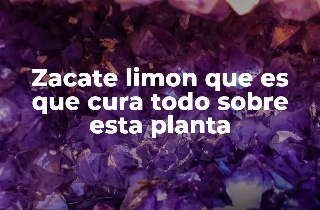 Zacate Limon que es que Cura Todo sobre Esta Planta