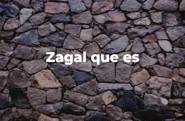 Zagal que es