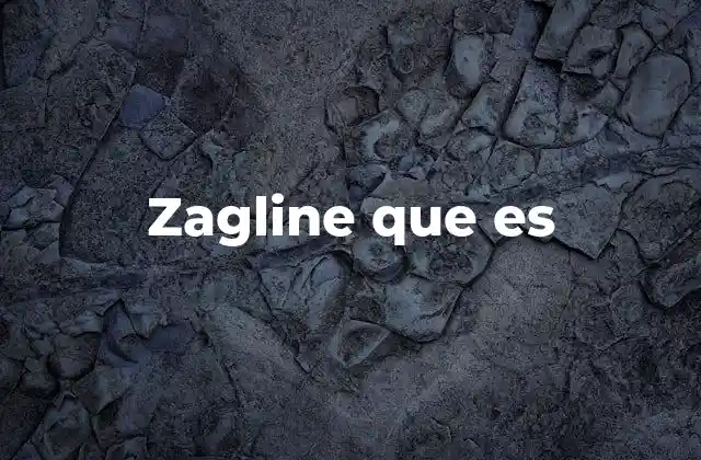 Zagline que es