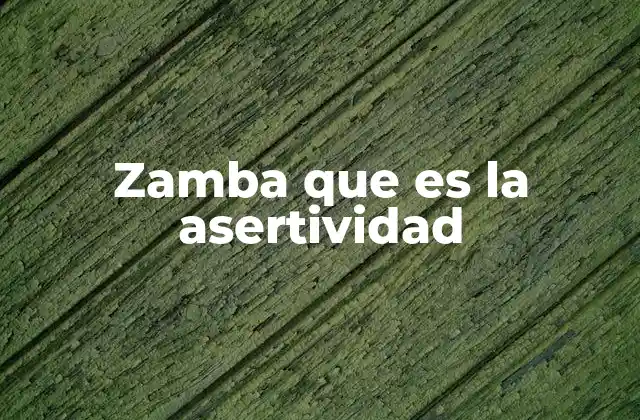 Zamba que es la Asertividad