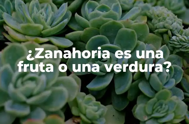 ¿zanahoria es una Fruta o una Verdura?