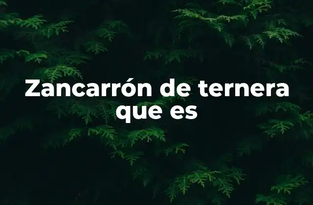 Zancarrón de Ternera que es