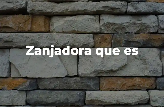 Zanjadora que es