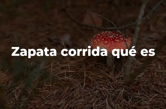 Zapata Corrida Qué es