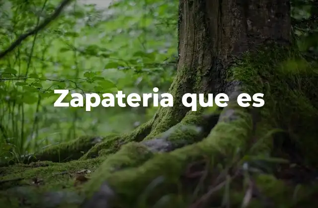 Zapateria que es