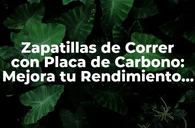 Zapatillas de Correr con Placa de Carbono: Mejora Tu Rendimiento con Tecnología de Punta