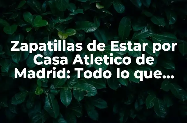 Zapatillas de Estar por Casa Atletico de Madrid: Todo Lo que Necesitas Saber