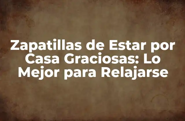 ¿Qué son las Zapatillas de Estar por Casa Graciosas?