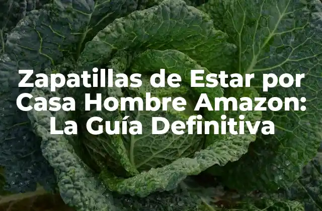 Zapatillas de Estar por Casa Hombre Amazon: la Guía Definitiva