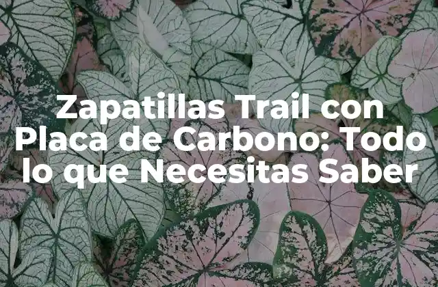 Zapatillas Trail con Placa de Carbono: Todo Lo que Necesitas Saber