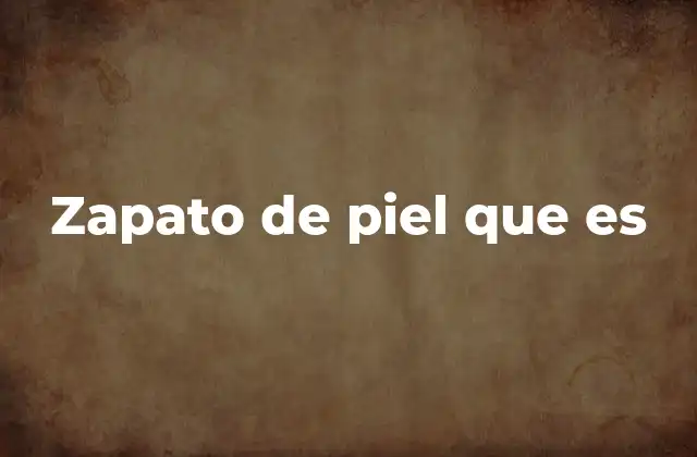 Zapato de Piel que es