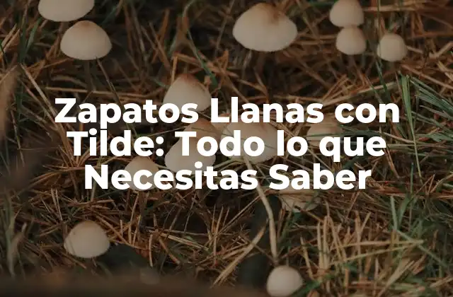 Zapatos Llanas con Tilde: Todo Lo que Necesitas Saber