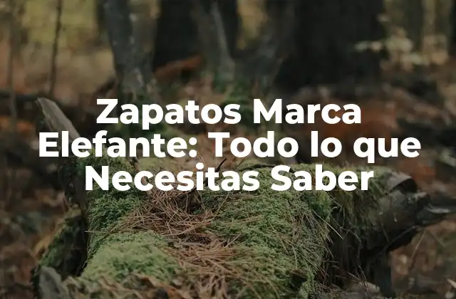 Zapatos Marca Elefante: Todo Lo que Necesitas Saber