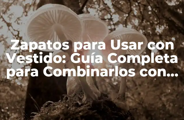 Zapatos para Usar con Vestido: Guía Completa para Combinarlos con Elegancia