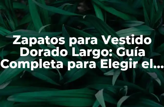 Zapatos para Vestido Dorado Largo: Guía Completa para Elegir el Par Perfecto