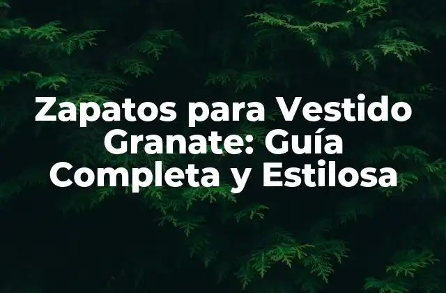 Zapatos para Vestido Granate: Guía Completa y Estilosa