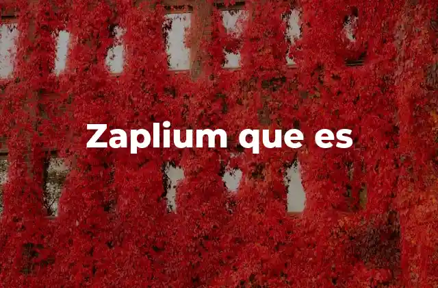 Zaplium que es 2 El fenómeno de los términos digitales como zaplium